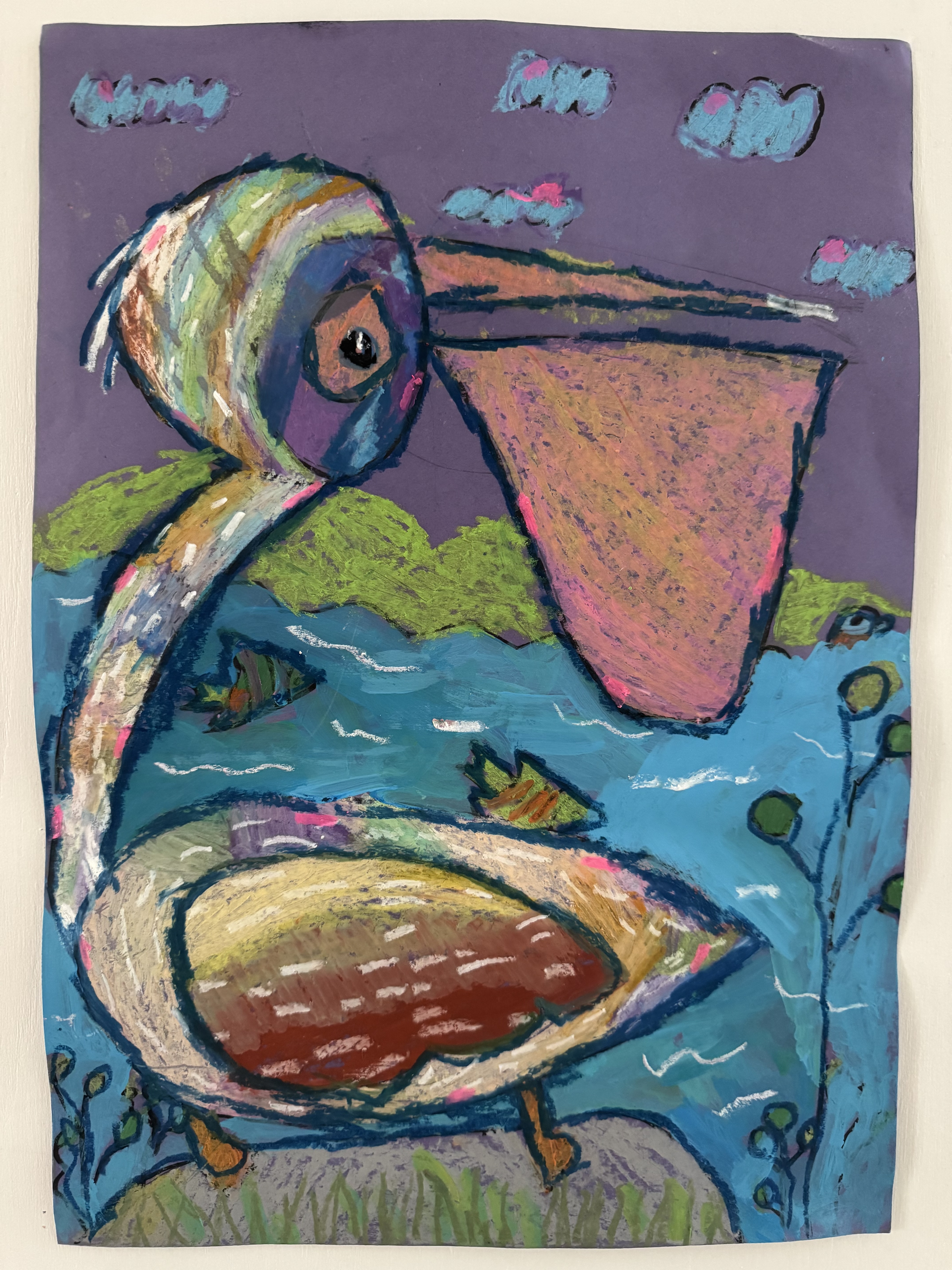 The Colorful Pelican