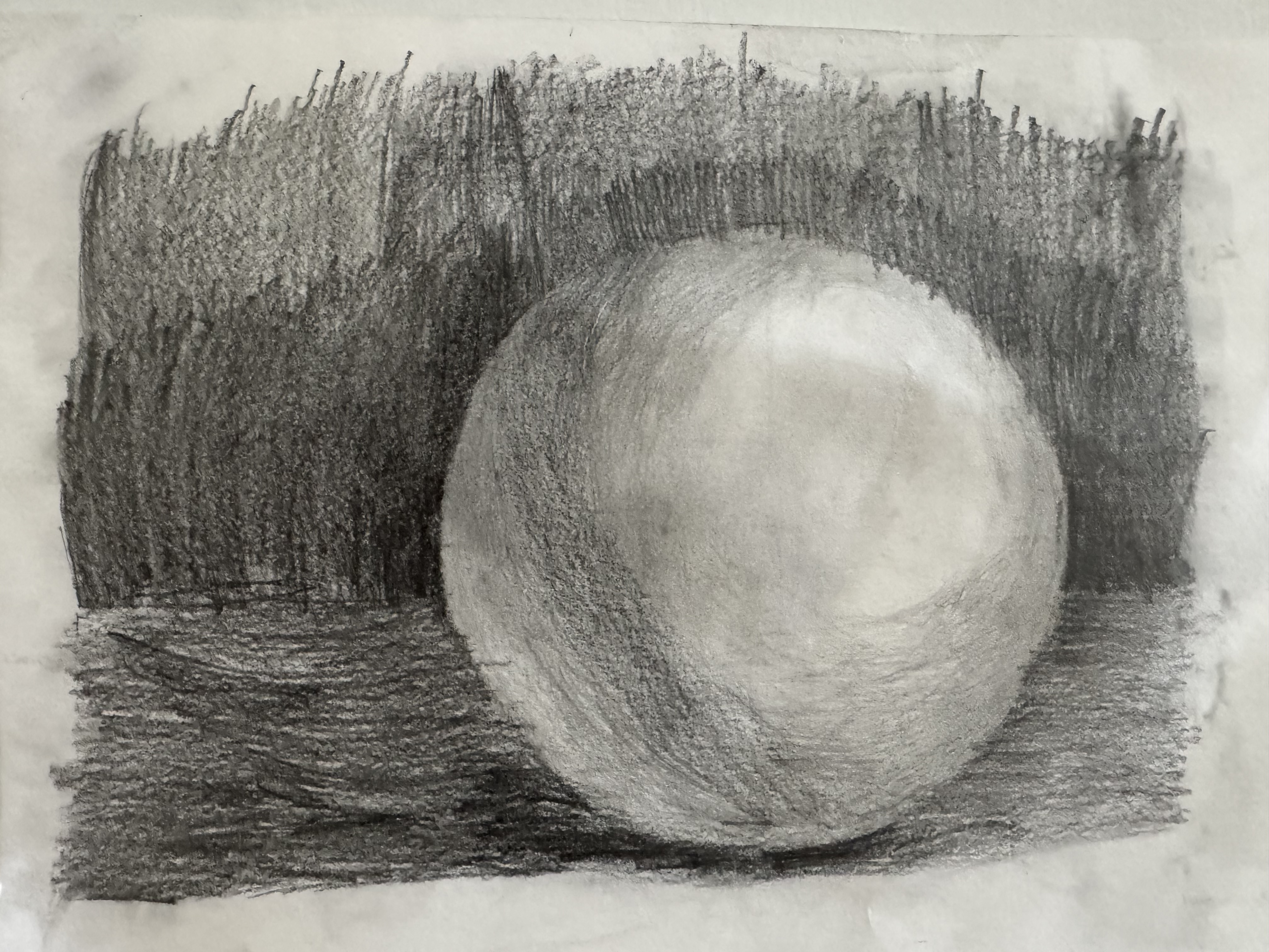 Light & Shadow Practice